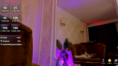 torri kitten online show from December 2024 08:33:02 AM