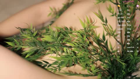 Snapshot of toshimori chatting on March 2026 01:04:02 PM Toshi online show from March 2026 01:04:02 PM