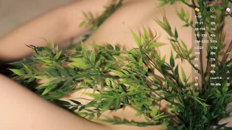 Snapshot of toshimori chatting on March 2026 01:04:01 PM Toshi online show from March 2026 01:04:01 PM