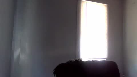 toxicanikki online show from February 2026 08:36:01 PM