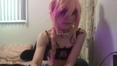 toxiicnekoo online show from November 2025 07:29:02 PM