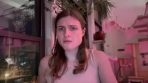 Snapshot of transangel97 chatting on January 2025 04:56:01 AM jewish american princess online show from January 2025 04:56:01 AM