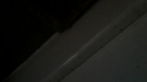transyfansy online show from July 2026 07:17:02 AM