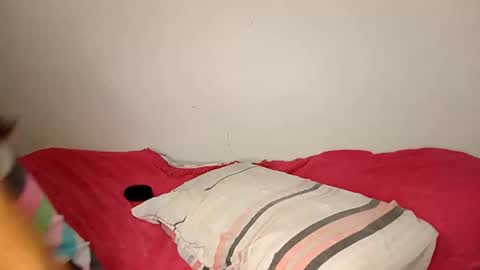 Snapshot of travisacal chatting on November 2025 04:55:01 PM Ameli online show from November 2025 04:55:01 PM