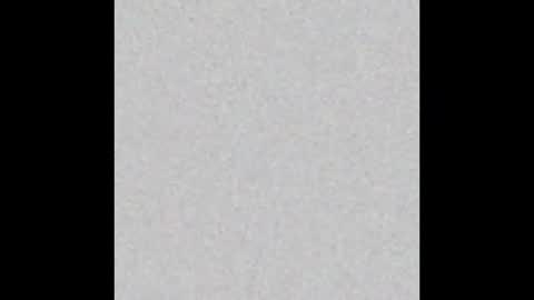 Snapshot of travt91 chatting on November 2025 05:52:02 AM travt91 online show from November 2025 05:52:02 AM