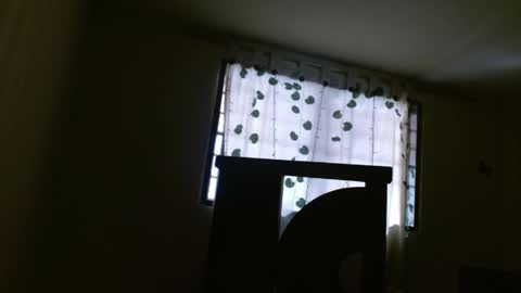 Snapshot of trebol_4 chatting on May 2026 02:57:02 PM trebol_4 online show from May 2026 02:57:02 PM