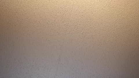 Snapshot of treedude303720 chatting on October 2025 09:43:02 AM treedude303720 online show from October 2025 09:43:02 AM