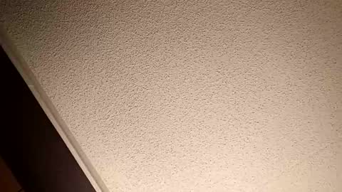 Snapshot of treedude303720 chatting on October 2025 10:54:02 PM treedude303720 online show from October 2025 10:54:02 PM