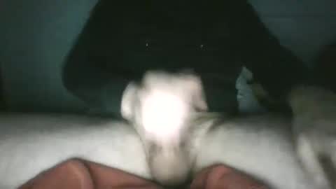 trekkertje666 online show from January 2025 08:00:01 AM