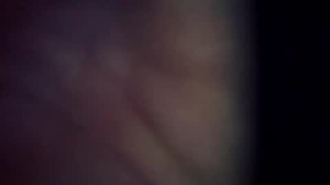 trex23rd online show from March 2026 11:39:01 AM