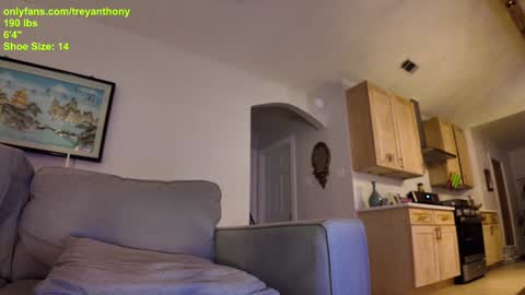 Snapshot of treyanthony chatting on January 2025 12:24:01 AM decentanthony online show from January 2025 12:24:01 AM