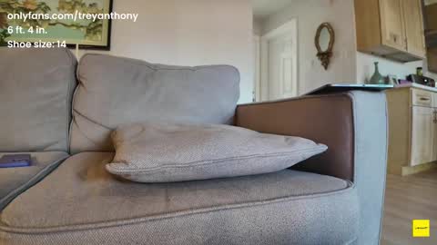 Snapshot of treyanthony chatting on February 2025 03:41:02 PM decentanthony online show from February 2025 03:41:02 PM