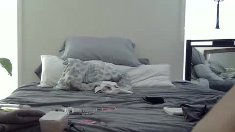 trickquestion online show from February 2026 08:49:01 PM