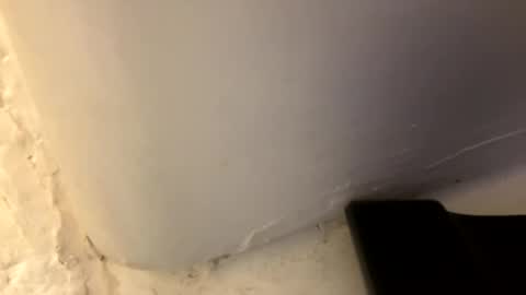 trickydick6 online show from April 2026 03:42:02 PM