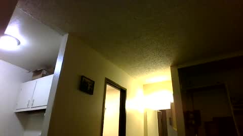 trickydick6 online show from June 2026 02:41:02 PM