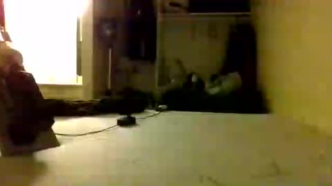 trickydick6 online show from June 2026 08:19:01 AM
