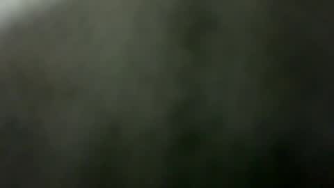 tripit1 online show from December 2025 08:43:01 AM