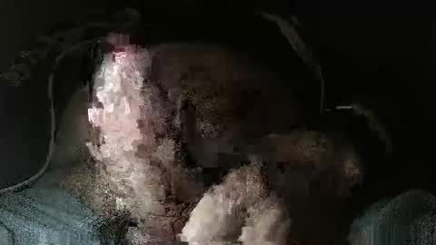 triponsex online show from March 2026 09:42:02 PM