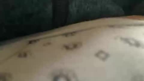 Snapshot of trobelle chatting on November 2025 10:37:02 AM trobelle online show from November 2025 10:37:02 AM