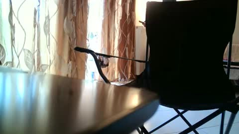 truble_again online show from May 2026 05:46:02 AM