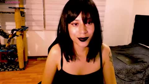 Cait online show from November 2025 07:22:02 AM