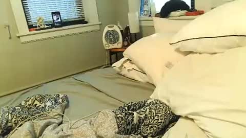 Amber White online show from February 2026 02:37:02 PM