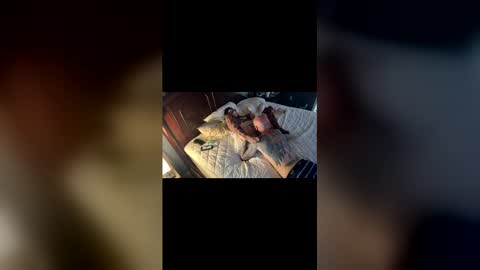 tslizzy0084 online show from March 2026 05:18:01 AM