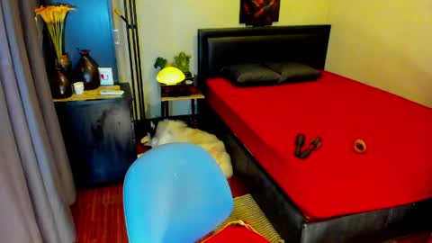Kylee-  will make your  day  online show from May 2026 06:11:01 AM