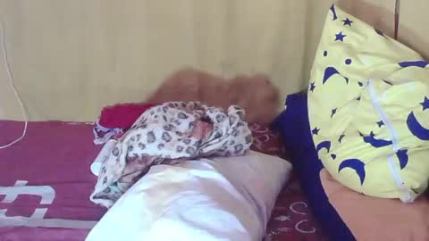 carmella online show from October 2025 02:00:01 AM