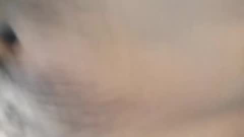 Snapshot of ttimmyt chatting on November 2025 08:07:01 PM ttimmyt online show from November 2025 08:07:01 PM