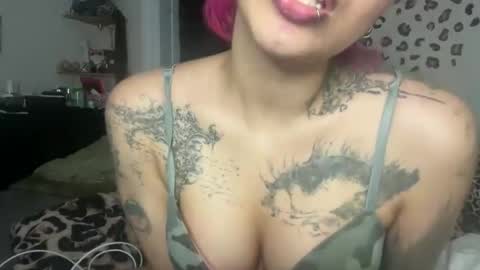 turntpixie online show from May 2026 03:25:02 AM