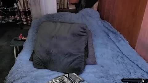 Lana online show from March 2025 08:29:01 AM