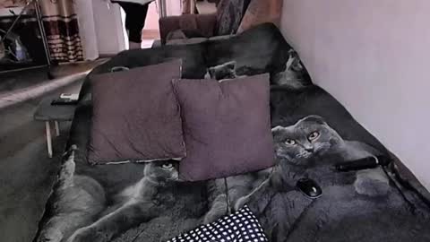 Lana online show from November 2025 07:36:02 AM