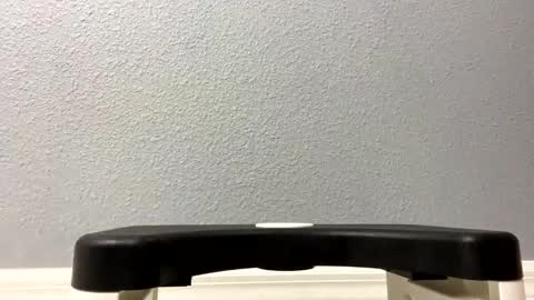 Snapshot of twetcock chatting on February 2025 12:00:02 AM twetcock online show from February 2025 12:00:02 AM