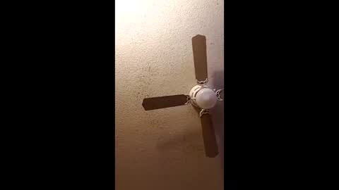 twosometeasesdarksexualkingdom online show from February 2026 11:32:01 AM