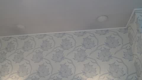 Snapshot of tyrafox_ chatting on December 2025 11:19:01 AM tyrafox online show from December 2025 11:19:01 AM