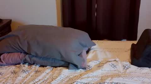 Blue Eyed Handsome Man online show from February 2026 08:29:02 PM