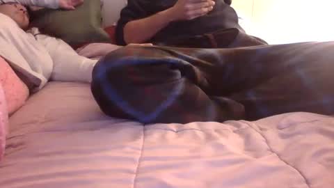 u_caught_us online show from December 2024 06:39:01 PM