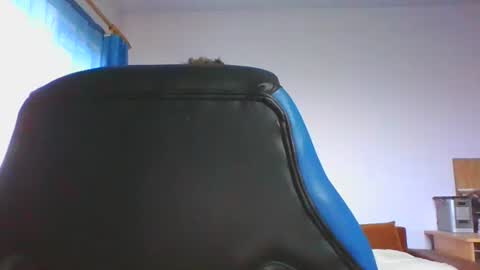 Snapshot of ulmeni4 chatting on December 2025 06:44:02 AM ulmeni4 online show from December 2025 06:44:02 AM