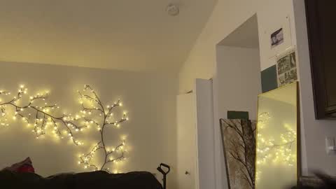 wang online show from November 2025 11:47:02 PM