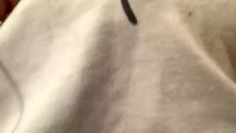 unknownkay online show from November 2025 06:37:02 AM