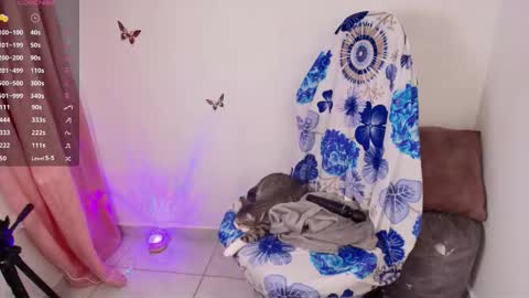 new INSTA   online show from January 2026 02:16:01 AM