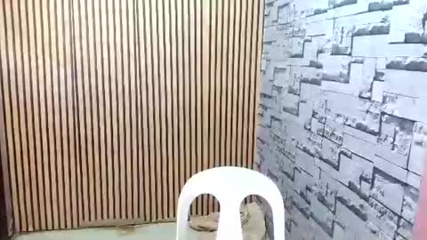 Snapshot of ur_asian_wife6969 chatting on March 2026 05:21:02 AM ur_asian_wife6969 online show from March 2026 05:21:02 AM