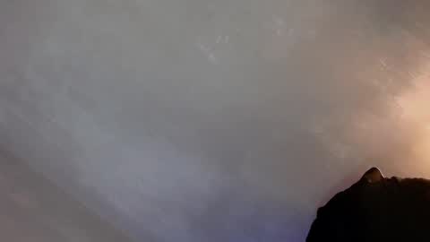 Lola online show from January 2025 01:42:02 PM