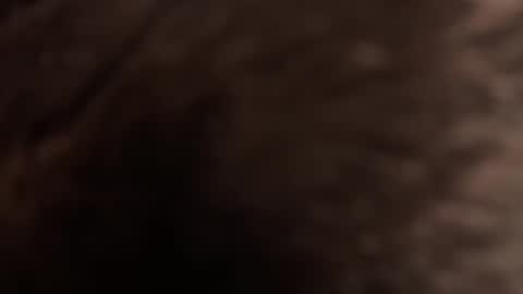 Snapshot of urmissalice chatting on February 2026 03:21:01 PM urmissalice online show from February 2026 03:21:01 PM