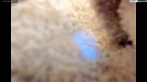 Big Daddy online show from January 2025 11:18:01 PM