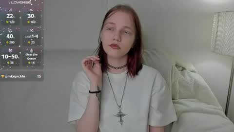 Snapshot of ustic_1 chatting on April 2026 08:20:01 PM Haven online show from April 2026 08:20:01 PM