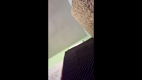 v3403454 online show from December 2025 11:54:01 PM