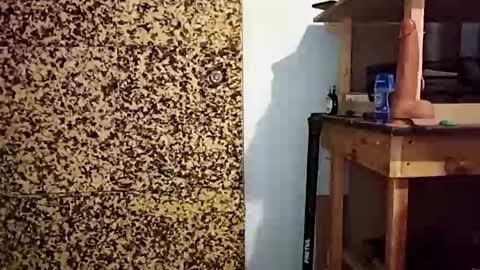 v3403454 online show from December 2025 01:57:02 AM