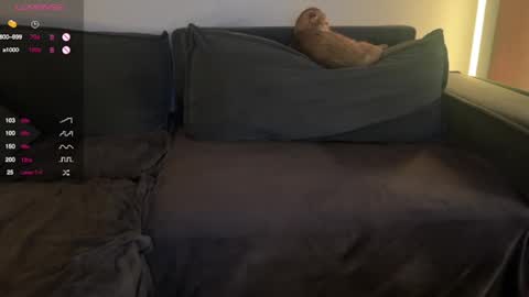 Snapshot of vaiee chatting on February 2025 07:52:02 PM Valery online show from February 2025 07:52:02 PM